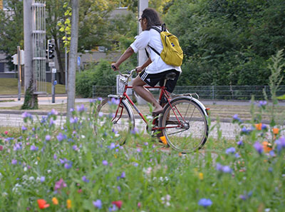 Blumenwiese-mit-fahrrad